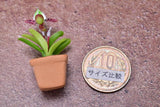 Miniature parts Potted Orchid [ORP7] (1/12 scale)