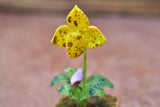 Miniature parts Potted Orchid [ORP8] (1/12 scale)