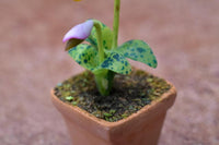 Miniature parts Potted Orchid [ORP8] (1/12 scale)