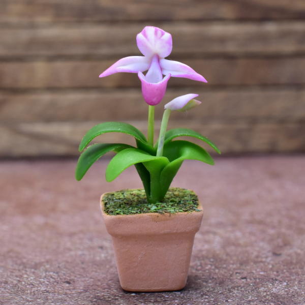 Miniature parts Potted Orchid [ORP9] (1/12 scale)