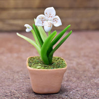 Miniature parts Potted Orchid [ORP10] (1/12 scale)