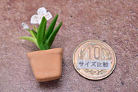 Miniature parts Potted Orchid [ORP10] (1/12 scale)