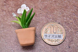 Miniature parts Potted Orchid [ORP10] (1/12 scale)