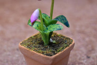 Miniature parts Potted Orchid [ORP11] (1/12 scale)