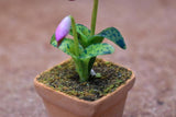 Miniature parts Potted Orchid [ORP11] (1/12 scale)