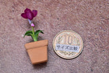 Miniature parts Potted Orchid [ORP11] (1/12 scale)