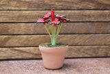 Miniature parts Potted foliage plant [PNL1] (1/12 scale)