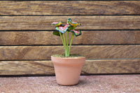 Miniature parts Potted foliage plant [PNL2] (1/12 scale)