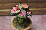 Miniature parts Potted foliage plant [PNL2] (1/12 scale)