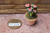 Miniature parts Potted foliage plant [PNL2] (1/12 scale)