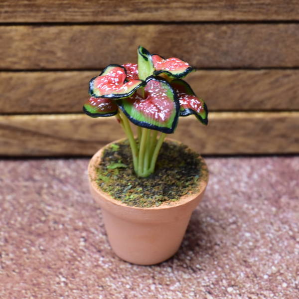 Miniature parts Potted foliage plant [PNL2] (1/12 scale)