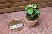 Miniature parts Potted foliage plant [PNL4] (1/12 scale)