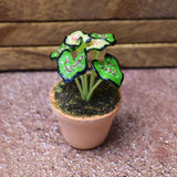 Miniature parts Potted foliage plant [PNL4] (1/12 scale)