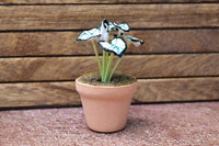 Miniature parts Potted foliage plant [PNL5] (1/12 scale)