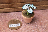 Miniature parts Potted foliage plant [PNL5] (1/12 scale)