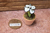 Miniature parts Potted foliage plant [PNL6] (1/12 scale)