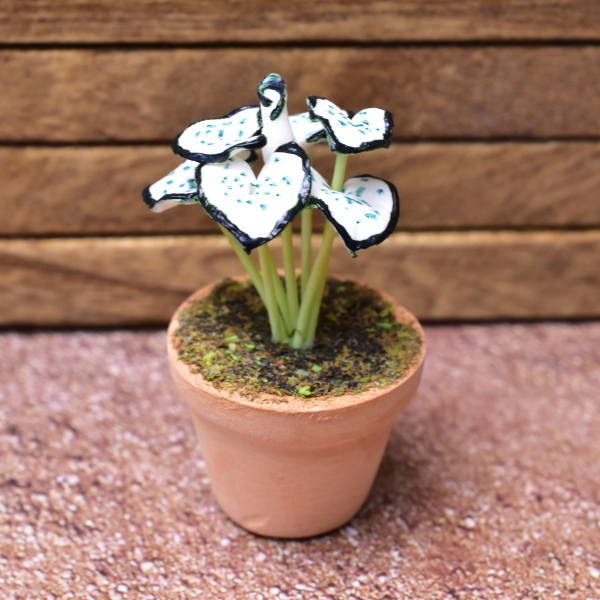 Miniature parts Potted foliage plant [PNL6] (1/12 scale)