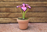 Miniature parts Potted foliage plant [PNL8] (1/12 scale)