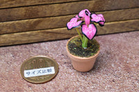 Miniature parts Potted foliage plant [PNL8] (1/12 scale)