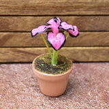 Miniature parts Potted foliage plant [PNL8] (1/12 scale)