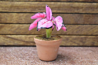 Miniature parts Potted foliage plant [PNL9] (1/12 scale)