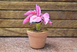 Miniature parts Potted foliage plant [PNL9] (1/12 scale)