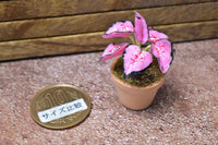 Miniature parts Potted foliage plant [PNL9] (1/12 scale)