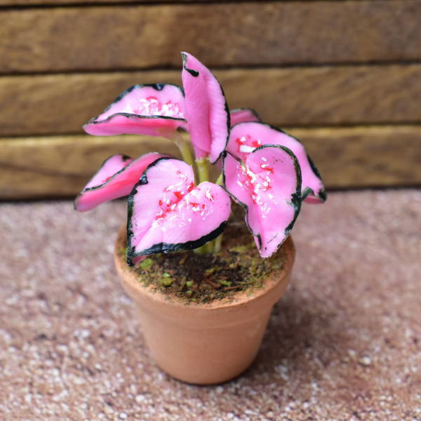 Miniature parts Potted foliage plant [PNL9] (1/12 scale)