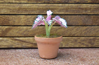 Miniature parts Potted foliage plant [PNL10] (1/12 scale)