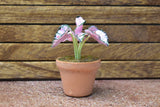 Miniature parts Potted foliage plant [PNL10] (1/12 scale)