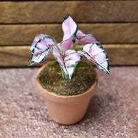 Miniature parts Potted foliage plant [PNL10] (1/12 scale)