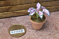 Miniature parts Potted foliage plant [PNL10] (1/12 scale)