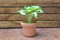 Miniature parts Potted foliage plant [PNL11] (1/12 scale)