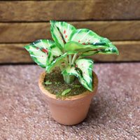 Miniature parts Potted foliage plant [PNL11] (1/12 scale)