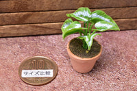 Miniature parts Potted foliage plant [PNL12] (1/12 scale)