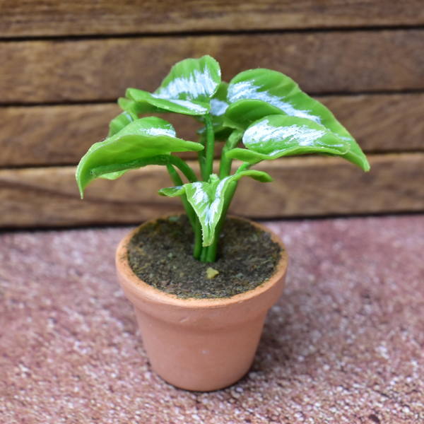 Miniature parts Potted foliage plant [PNL12] (1/12 scale)