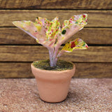 Miniature parts Potted foliage plant [PNL13] (1/12 scale)