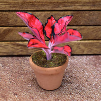 Miniature parts Potted foliage plant [PNL15] (1/12 scale)