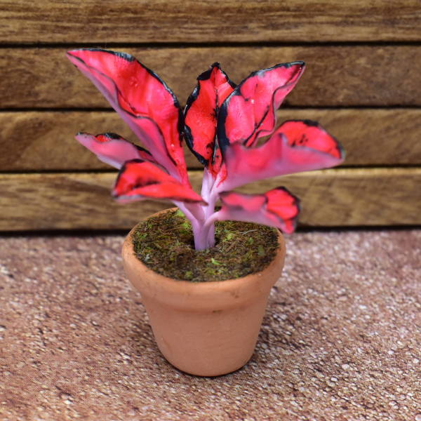 Miniature parts Potted foliage plant [PNL15] (1/12 scale)