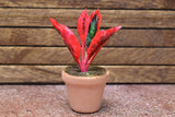 Miniature parts Potted foliage plant [PNL17] (1/12 scale)