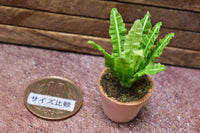 Miniature parts Potted foliage plant [PNL18] (1/12 scale)