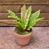 Miniature parts Potted foliage plant [PNL19] (1/12 scale)