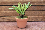 Miniature parts Potted foliage plant [PNL20] (1/12 scale)