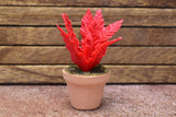 Miniature parts Potted foliage plant [PNL22] (1/12 scale)