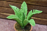 Miniature parts Potted foliage plant [PNL23] (1/12 scale)