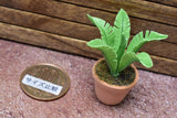 Miniature parts Potted foliage plant [PNL23] (1/12 scale)