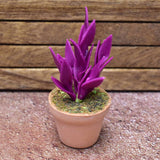 Miniature parts Potted foliage plant [PNL24] (1/12 scale)