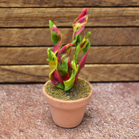 Miniature parts Potted foliage plant [PNL25] (1/12 scale)