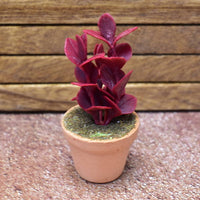 Miniature parts Potted foliage plant [PNL26] (1/12 scale)