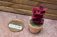 Miniature parts Potted foliage plant [PNL26] (1/12 scale)